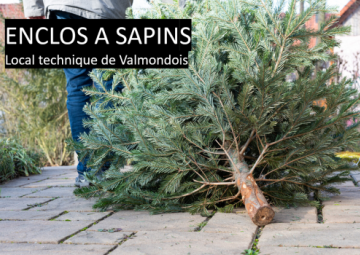 enclos sapin