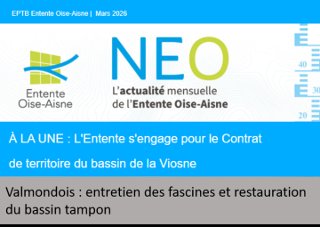 Valmondois : entretien des fascines et restauration du bassin tampon 