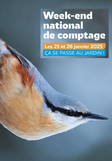 comptage oiseaux valmondois