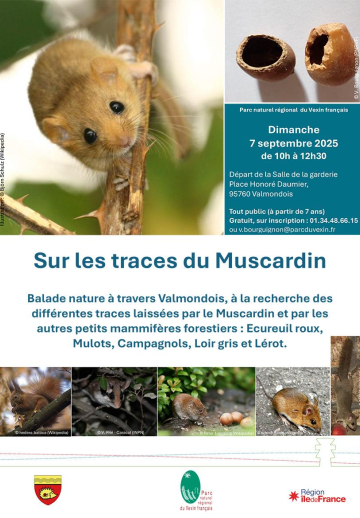 balade muscardin valmondois
