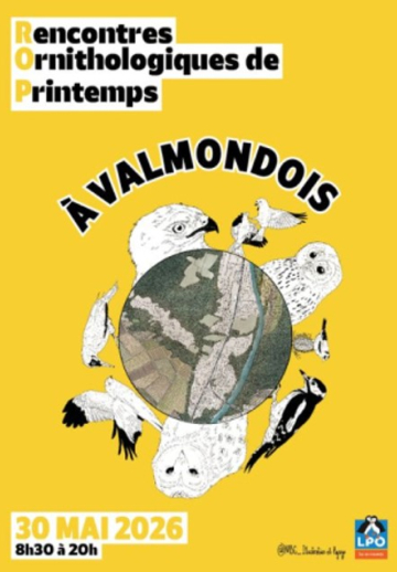Rencontres ornithologiques de Printemps