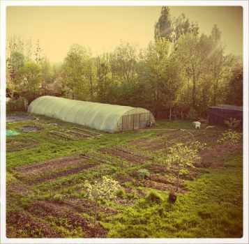 Connaissez vous le potager communal ? Et si vous vouliez vous y inscrire et en faire partie ?