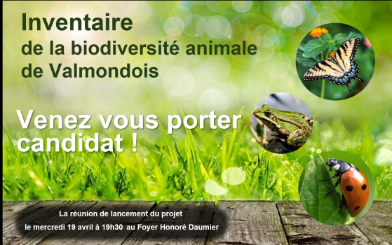 Biodiversité animale à Valmondois