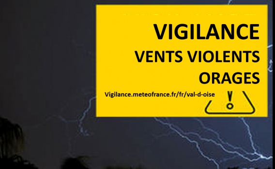 Vigilance vents violents