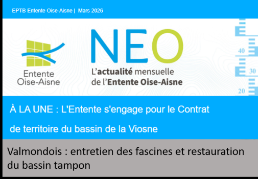 Valmondois : entretien des fascines et restauration du bassin tampon 