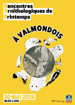 Rencontres ornithologiques de Printemps