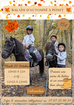 Balade en poneys à Valmondois