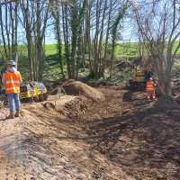 Valmondois : entretien des fascines et restauration du bassin tampon 