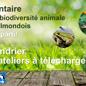 Calendrier ateliers inventaire Biodiversité 