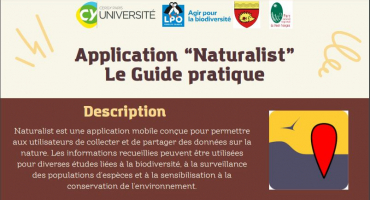 Haut notice Naturalist