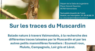 balade muscardin valmondois