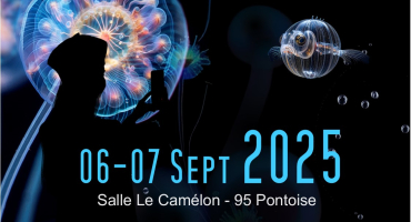 Exposition immersive