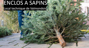 enclos sapin