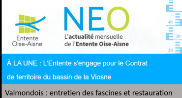 Valmondois : entretien des fascines et restauration du bassin tampon 