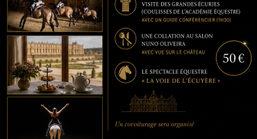 sortie Equestre